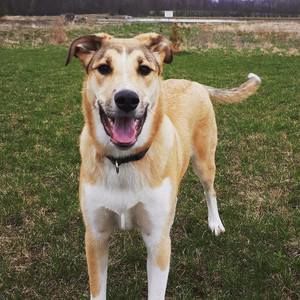 Meet your Posher, Stacy